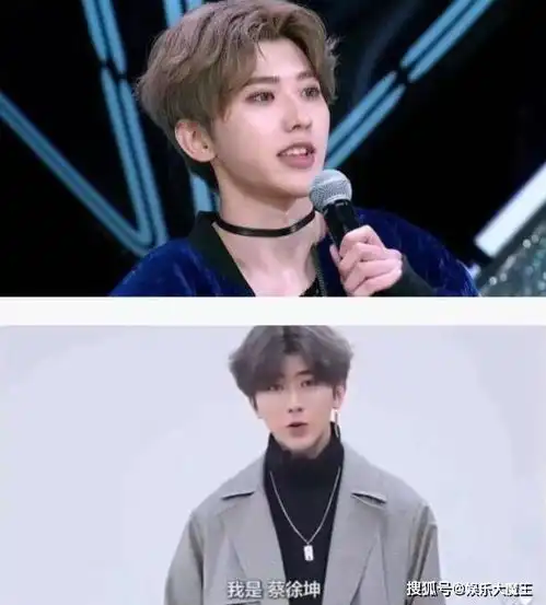 迪丽热巴就引用蔡徐坤表情包道歉,为杨幂庆生配图被指蔡徐坤黑图