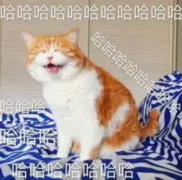 nononono猫表情包橘猫