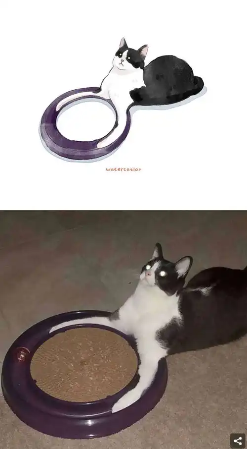 网红猫的水彩肖像画萌到没朋友,笑到停不下来