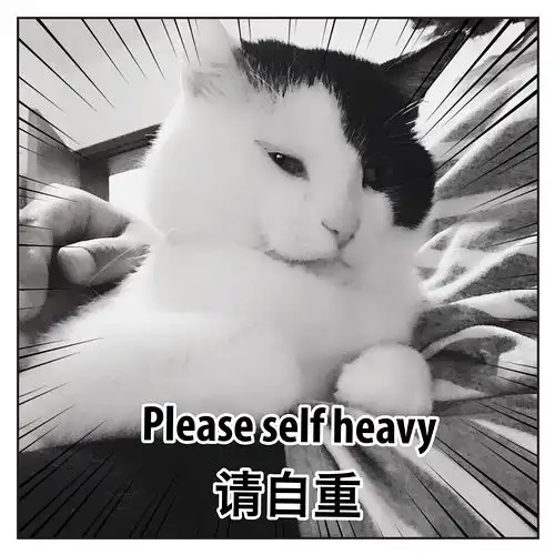 奶糖主子滴表情包可贱可萌oo