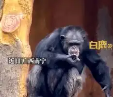 滚动
