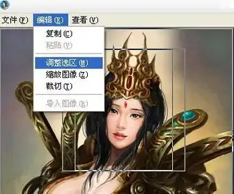 三国志12头像编辑器导入方法