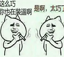 表情包呸,你个战五渣渣,整天就知道斗图