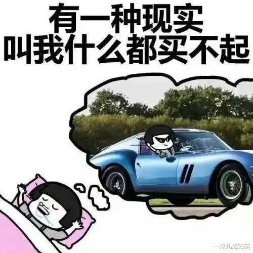 荒郊孤狼还是风口群猪,20世纪美国汽车市场的群魔乱舞