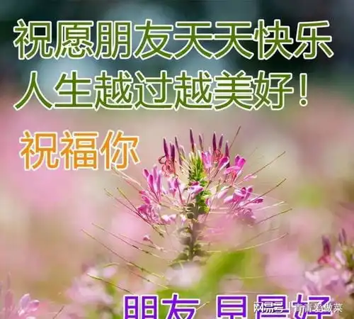 周五最新早上好问候动态表情图片最美的早安问候图片带字