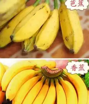 香蕉只能剥皮即食教你不用烤箱做酥脆香蕉片