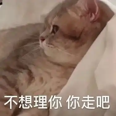 表情包好好混不要谈恋爱