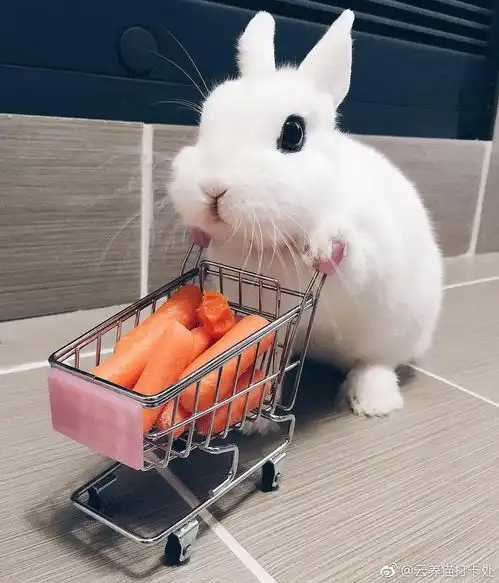 人间三顶流和瓜组三顶流分别对应谁目前蔡猫,...