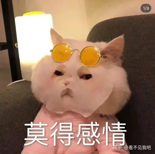 问候表情包小暑表情