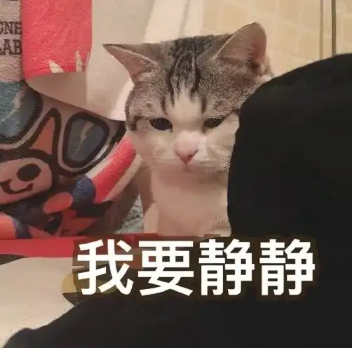 猫咪表情包我等的喵在多远的未来养猫