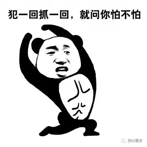 钟山抓获的15个偷车疑犯13个是未成年
