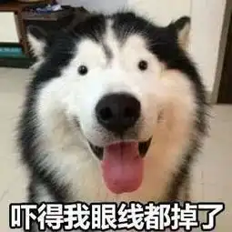这是一条合集推文