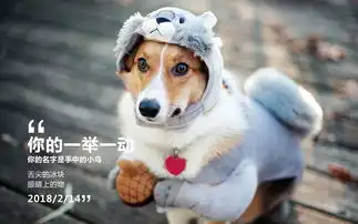 情人节,请爱护单身狗