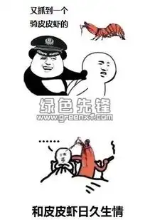 专门拍表情包的软件皮皮