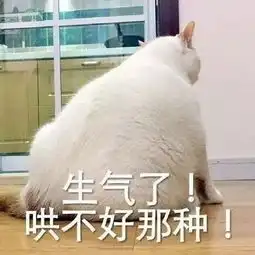 卖萌撒娇表情包我生气了哄不好的那种