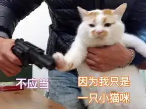 老外也追双十一却深陷商家剁手骗局,马云你不管管