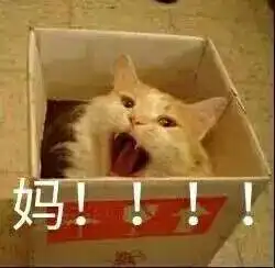 妈的表情包