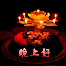 冰壶秋月的贴吧吧含苞待放至真至纯韩烨