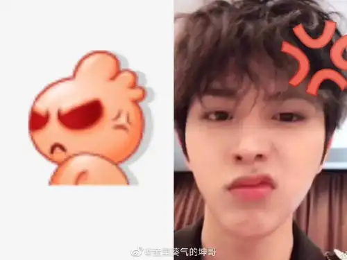 蔡徐坤表情包图片鬼畜蔡