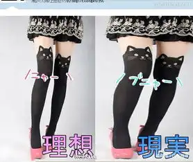 幽默搞笑段子集猫发现被偷拍,瞬间反应的表情笑到胃疼