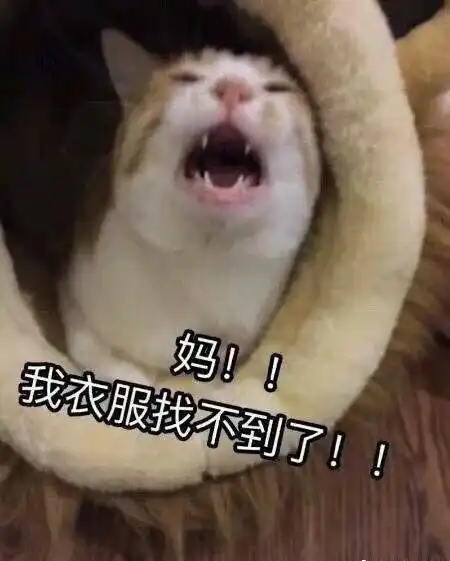 暗中骄傲表情包妈妈