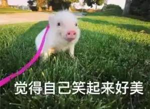 取错名字的影响有多大哈哈哈,最后一个笑劈叉