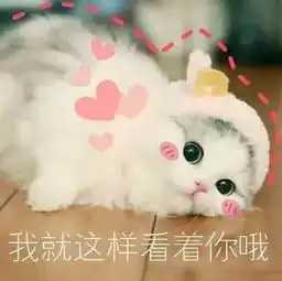 号外号外秦岭晚会邀你加入群聊
