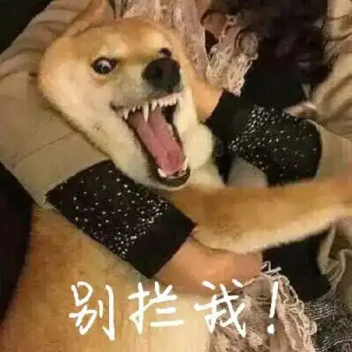 外星人要来了我们要回应吗
