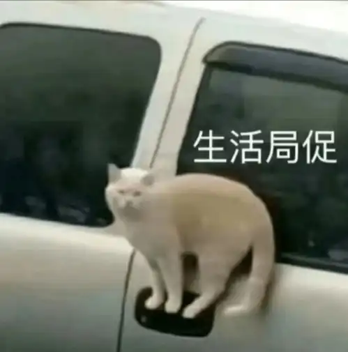 大学每月1000块生活费真的够吗