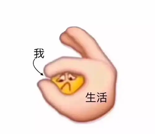 为什么每次选课都会被高中同学嘲笑