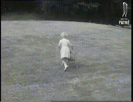 小狗荡秋千表情包gif