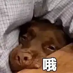 你见过最鬼畜的文综题是什么
