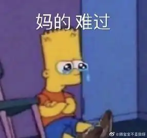 熊宝宝不是我呀的微博微博