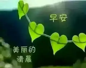 阿火直播间阿火个人资料75162798yylive,中国最大的综合娱乐直播平台