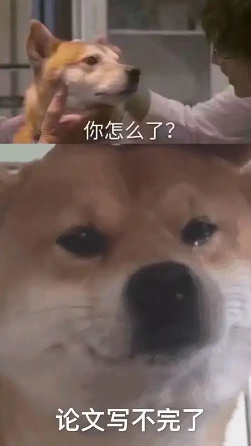 今天也很喜欢你表情包上