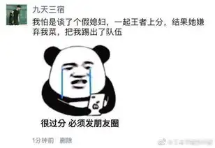 网购衬衫竟寄来碎布头这是买家秀与卖家秀差距最大的一次