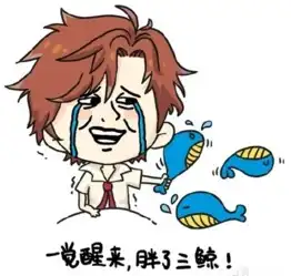 布鲁克表情包醒来