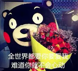 大老师迷妹来收图大老师歌词表情包