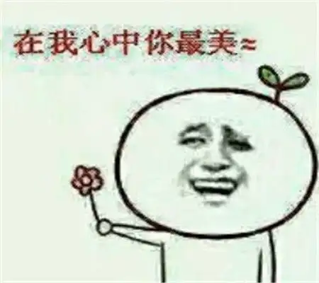 表情包送你一朵滑稽你敢拒绝试试看