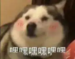 300块钱买了12个设计超好看的包