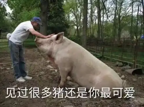 当妈后我们都爱上了开车真相竟是