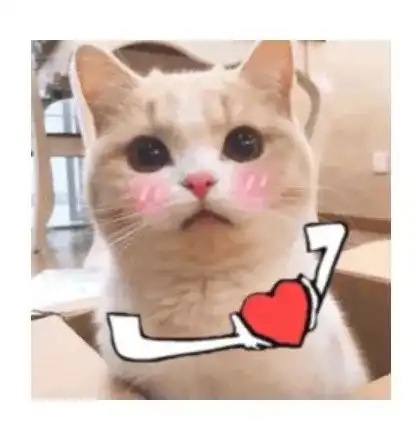 甜蜜的我爱你的表情包猫