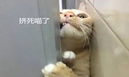 女子准备洗澡,厕所门却被打开,看清后墙都扶不稳
