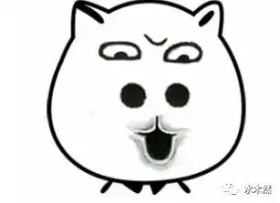 乱了,乱了滴滴外卖vs美团打车