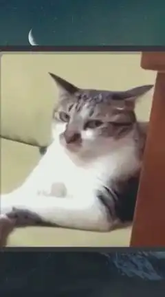 哪里搞笑,放暑假在家爸妈的表情就是这样的哈哈