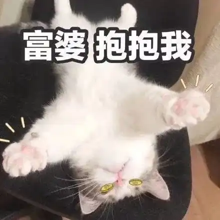 原来p这么值钱的