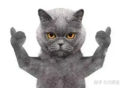 nononono猫表情包是我