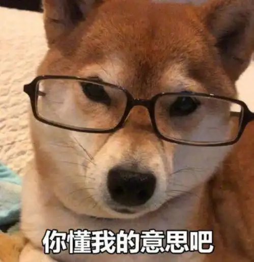 一只狗行8表情包柴犬
