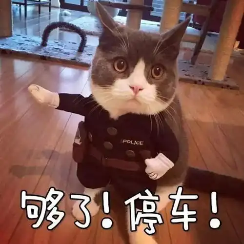 快出来打麻将表情包