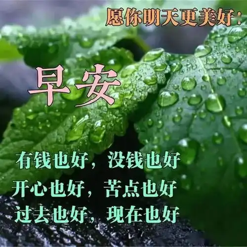再忙,我也会记得微笑再累,我也会注意言行,早安